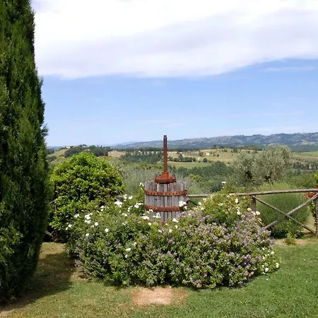 Castello Ii *